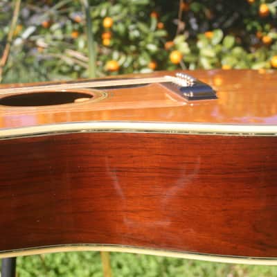 1970s Morris W100D B. Rosewood Jacaranda Body, Tree of Life, Solid Spruce Top, Pick up +Hard Case image 15