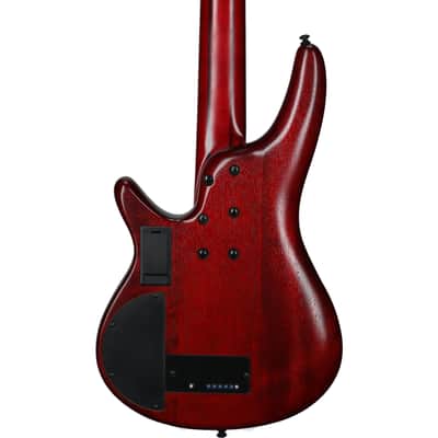 Ibanez SRD905F Bass Workshop Fretless Electric Bass, Brown Topaz image 8