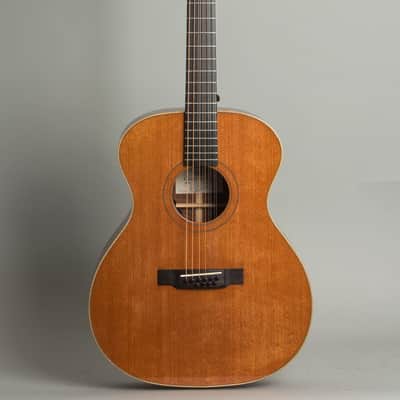 Circle Strings  A-1 10 String Acoustic Flat Top Guitar (2018), ser. #119, original molded white plastic hard shell case. image 1