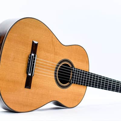 Antonio Raya Pardo Concert Spruce Rosewood 1997 image 12