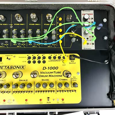 Metasonix D-1000, D-2000 + / Eric Barbour's one-of-a-kind portable demo booth image 9