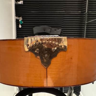 Vintage Bowlback 12 String Mandolin - Mandriola / Trichord image 7