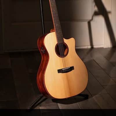Cort Gold-A10 Cocobolo Grand Auditorium Acoustic/Electric Guitar Includes Hard Case, B-Stock image 8