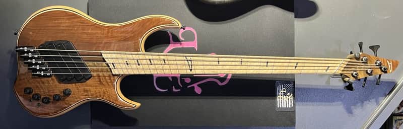 Dingwall 5 string Quad LowEnd Slim image 1