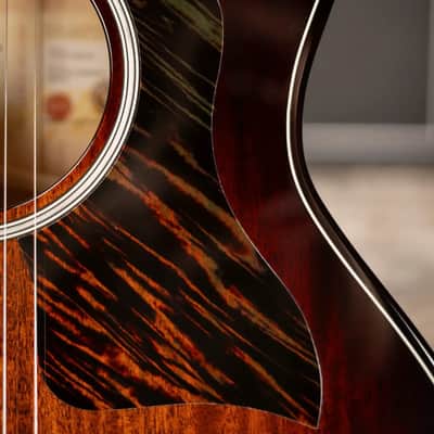 Taylor Next Generation Builder's Edition 524ce Grand Auditorium Acoustic/Electric Guitar with Hardshell Case image 12