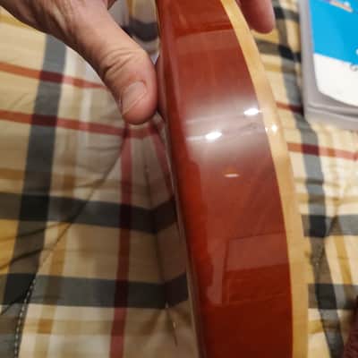 PRS SC Private Stock Brazilian image 12