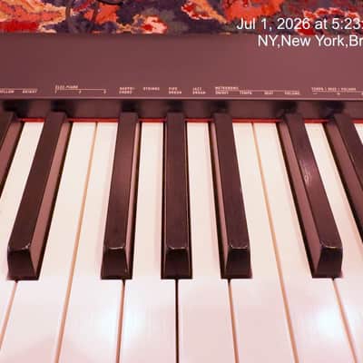 Casio CDP-S110 88-Key Weighted Piano Bundle - Premium Quik Lok Stand & Korg DS-1H Pedal image 5