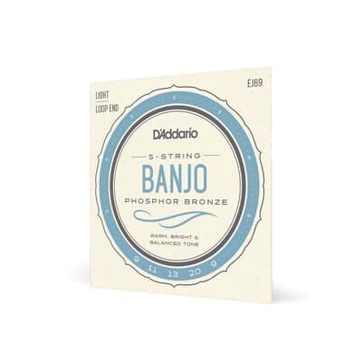 D'Addario 09-20 Regular Light Phosphor Bronze 5 String Banjo Strings - EJ69 image 2