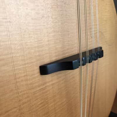 Tacoma M-1E Mandolin - Acoustic/Electric w/Hardshell Case image 3