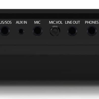 Artesia PE-88 Digital Piano image 5