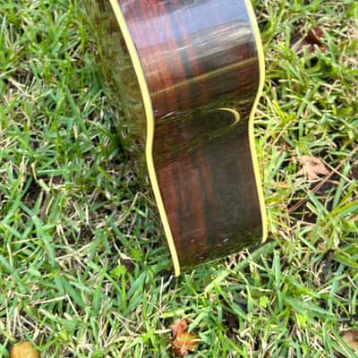 1970s Fender F-80-12 12 String Acoustic image 11