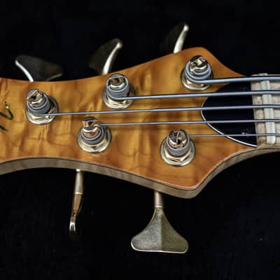 Left Handed Nordstrand Very Custom 5 String Bass image 16