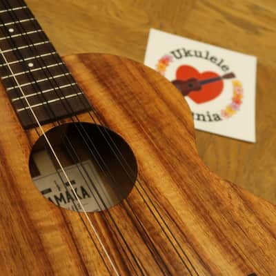 Kamaka HF-38 Curly Koa 8-String Tenor #4004 image 18