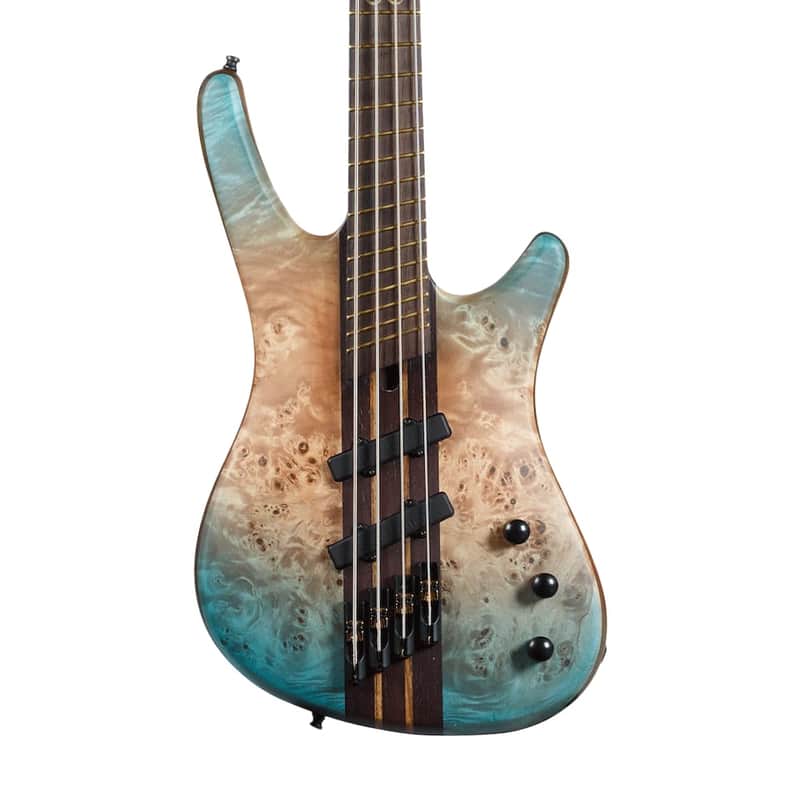 Chapman MLB1 Fan Fret Dave Hollingworth Signature Bass - | Reverb
