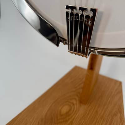 1983 Stelling Sunflower Archtop 5-String Banjo, Raised Head, San Diego image 11
