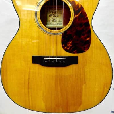 Guitare Acoustique Folk Recording King ROT16 Format 000 image 2