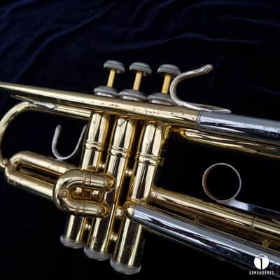 Vincent Bach TR200 Step-Up Bb Trumpet  Lacquered Brass gamonbrass image 7