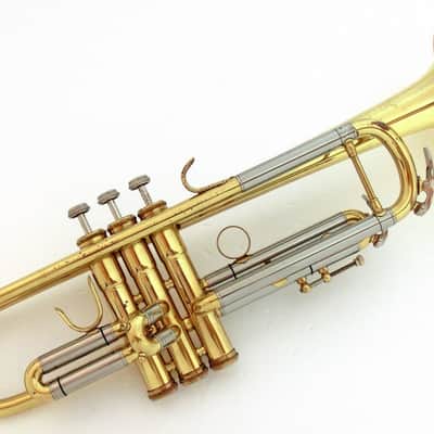 Swallow 50LN | Reverb