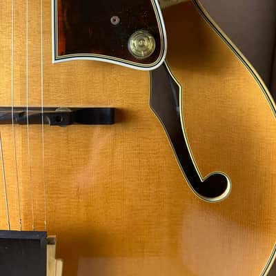 Mark Campellone Special 17" Archtop DeArmond Rhythm Chief 1100 image 10