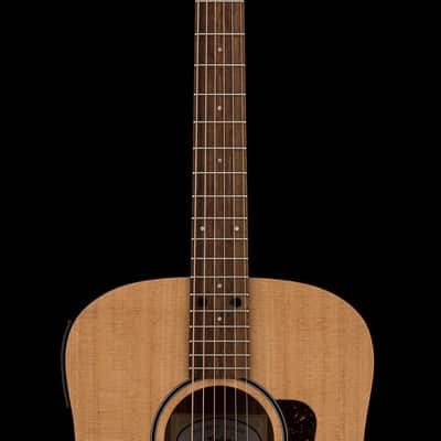 Taylor Big Baby Taylor (BBTe) #16071 (Demonstration Model) image 5