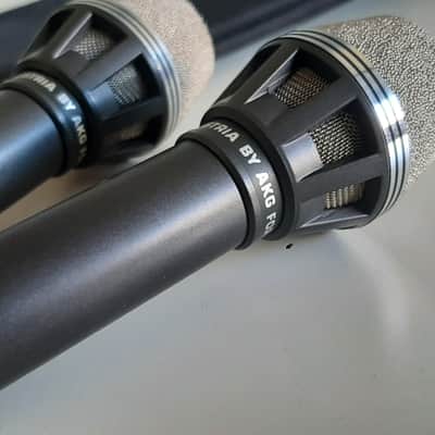 Set of 2x AKG D190 - Grey - Built for Beaulieu - Klein tuchel image 8