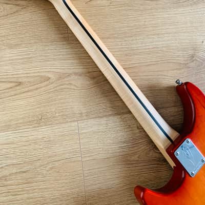 Vigier Expert Retro ‘54 image 5