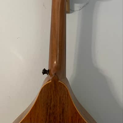 Peter Coombe Classical Flattop Mandolin image 7