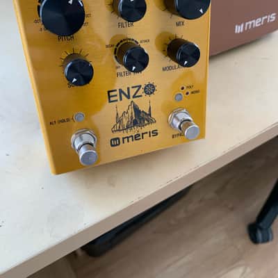 Meris Enzo 2018 - Gold image 1