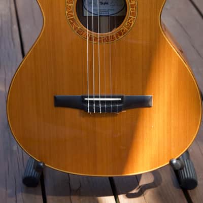 Taylor Jason Mraz Signature Model (JMSM) image 9