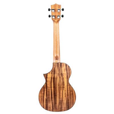 Twisted Wood Switchback Concert Ukulele - Solid Koa Top - SW‑700C image 2
