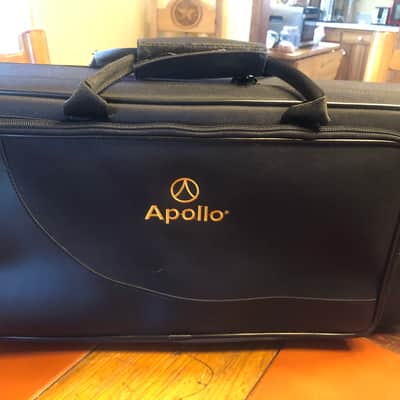 Apollo AAS 23 Student Alto Saxophone - Gold Lacquer image 12