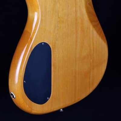 Alvarez Villain Series 5-String bass 1996 image 9