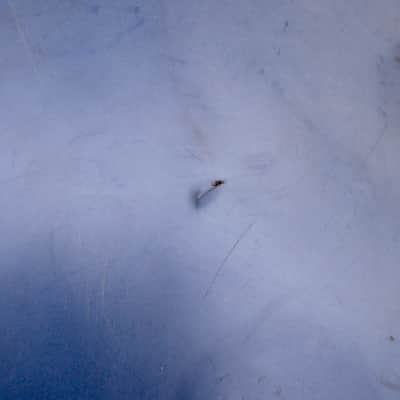 Sonor Teardrop Bassdrum Drumhead 60s 20" Vintage Germany image 4