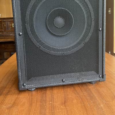 Euphonic Audio - Wizzy (12" M-Line Bass Cab) image 1