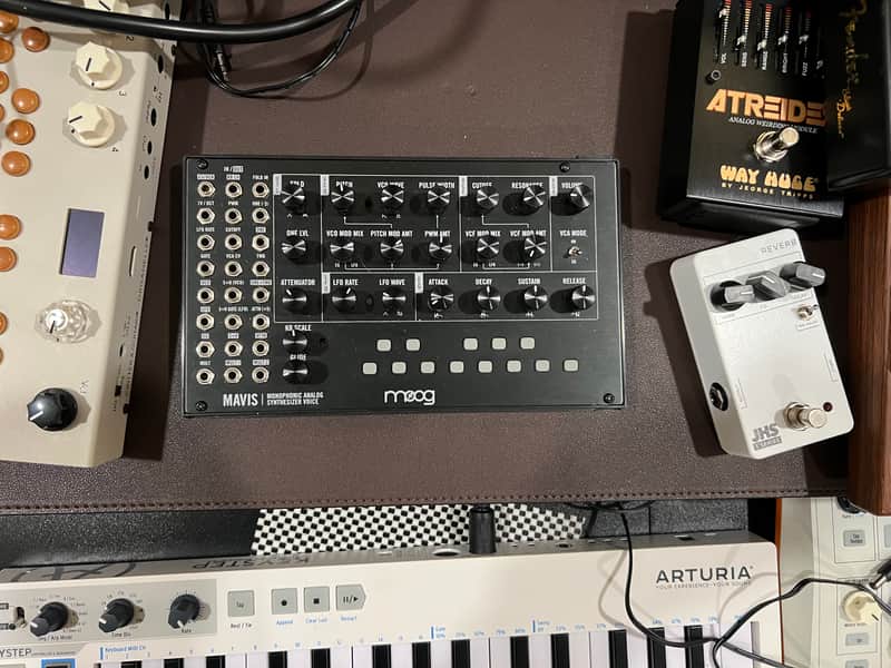 Moog Mavis Monophonic Analog Synthesizer Voice