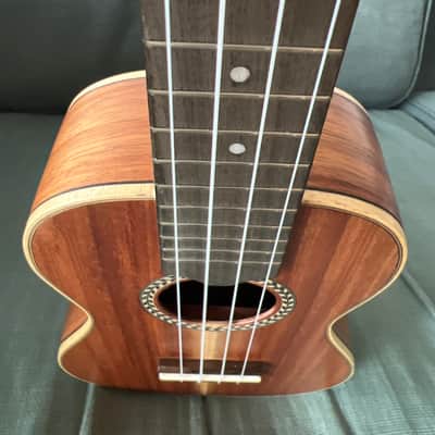 Handmade Antonio Carvalho CC Concert Ukulele image 10