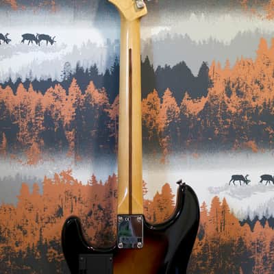 Fender G-5 VG Stratocaster image 10
