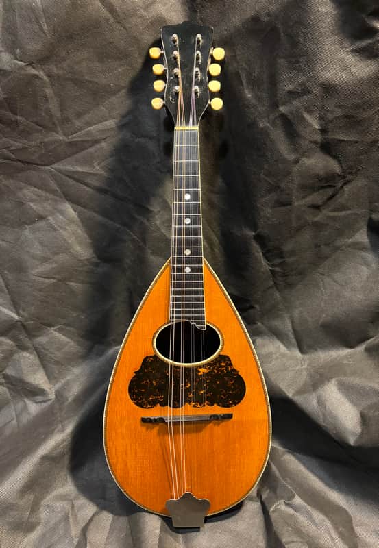 Washburn Bowlback Mandolin Stlye 215 - Brazilian Rosewood - Great Player -Org. Case - Clean! - Ships FREE!!! image 1