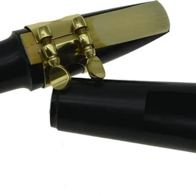 Tenor Saxophone Mouthpiece with Ligature, Reed and Plastic Cap image 2