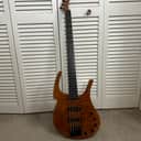 Parker FB-5 Fly Bass 5 String