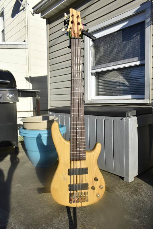 Agile Brice 6 string bass Vintage toned image 1
