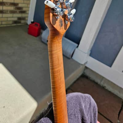 Ernie Ball JP 15 2025 - 2026 - Lava Burst image 10