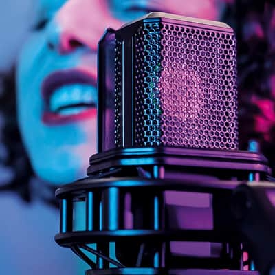 Lewitt LCT 440 PURE 1" True Condenser Studio Microphone image 9