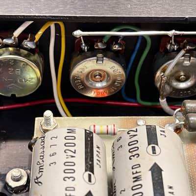 Dumble Overdrive Special with travel case image 13