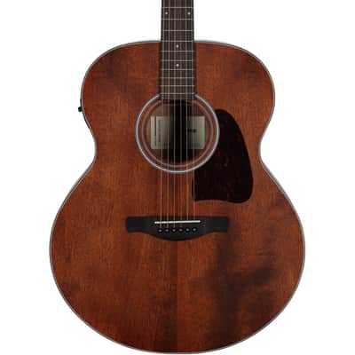 Ibanez AJ54E Artwood Acoustic-Electric Guitar, Open Pore Natural image 5