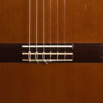 Manuel Velazquez Classical Guitar (1990), period hard shell case. image 14
