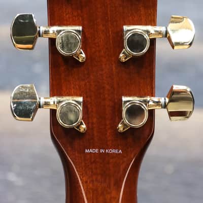 Fender DG41S Solid Spruce Top Dreadnought Six-String Acoustic Guitar #98052230 image 6