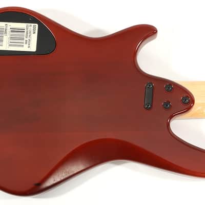 Godin BG-V BG5 5-String Active Electric Bass image 7