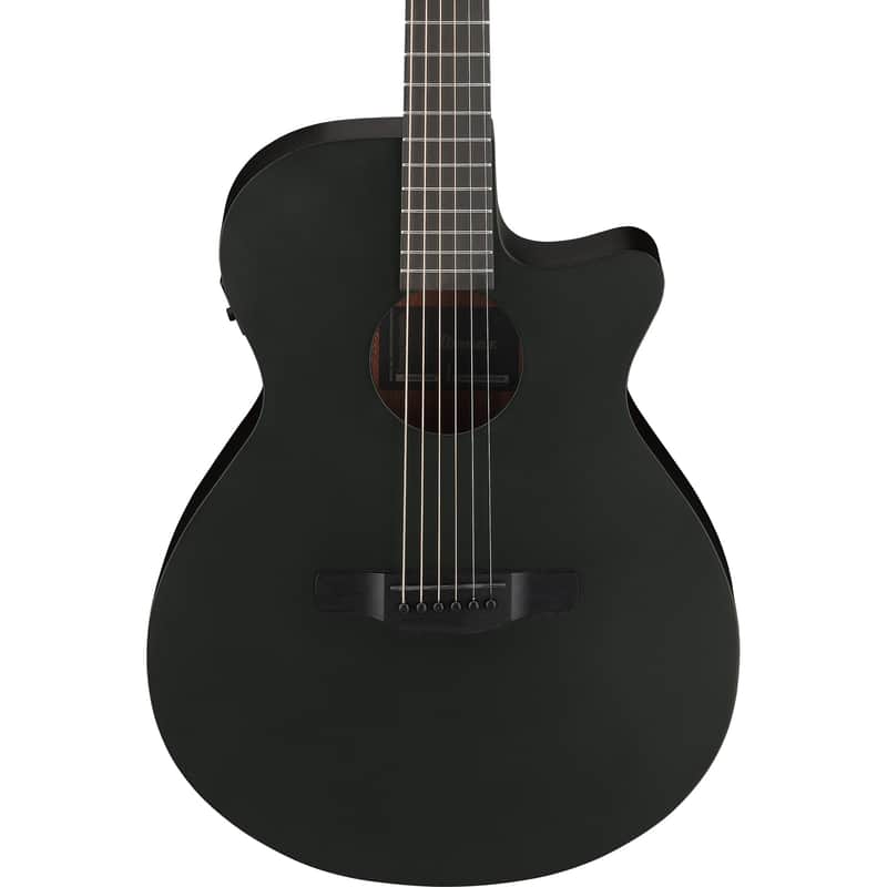 Ibanez AEG621 AEG Acoustic Electric Guitar - Black Out image 1