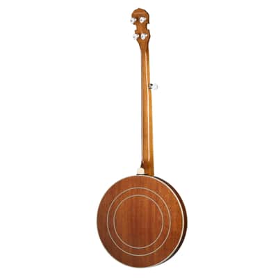 Epiphone Mastertone Classic Banjo Natural - Banjo image 2